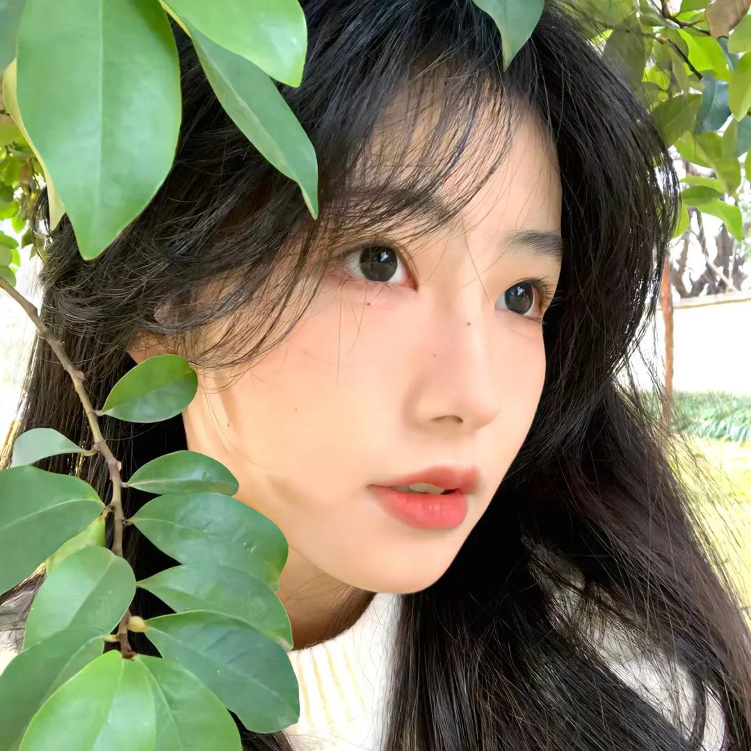 女人的面孔